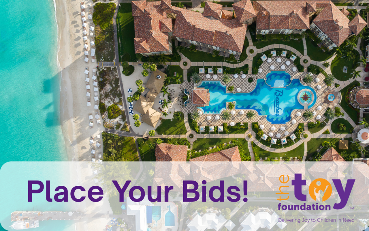 the toy foundation auction